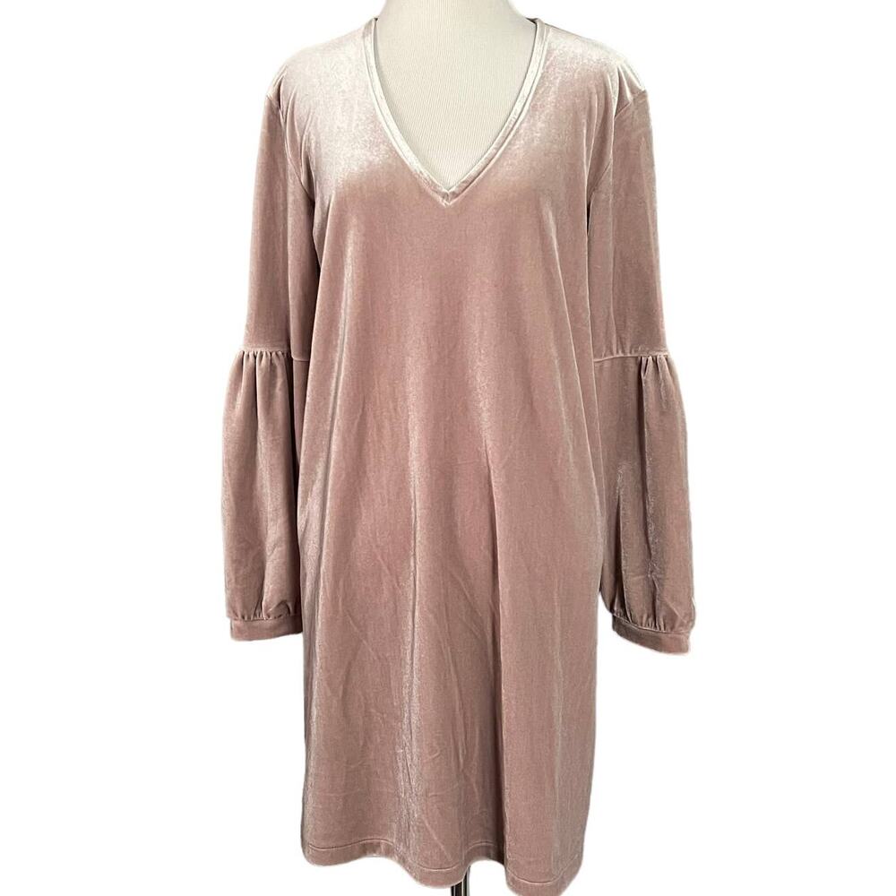 Madewell Velvet Balloon Sleeve Dress
